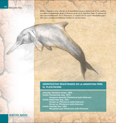 Sudamérica Prehistórica: Bestiario Fósil - tienda online