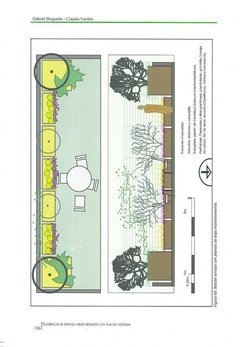 ELEMENTOS DE DISEÑO Y PLANIFICACIÓN CON PLANTAS NATIVAS - Introducción al Paisaje Natural - Parte I - La Biblioteca del Naturalista