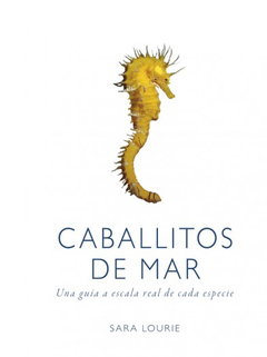 CABALLITOS DE MAR ed. 2018