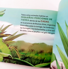 EL BICHO BOLITA Y OTROS ANIMALES DEL JARDIN - buy online