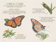Veo Veo En Buenos Aires - La Naturaleza cerca - buy online