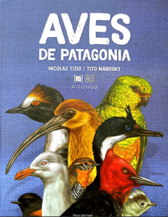 Aves de Patagonia