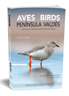 Aves-Birds Península Valdés (Todos los medios de pago)