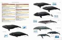 Illustrated Checklist of the Mammals of the World (2 tomos)