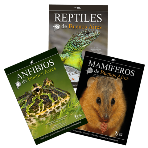 Combo Colección Guías Fauna de Buenos Aires (Pre-Venta-envíos a partir del 29/05) 3 tomos