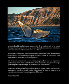 La Profundidad de las Ballenas - La Biblioteca del Naturalista