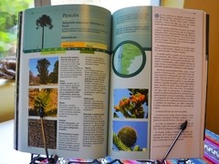 Arboles Nativos de Argentina - PATAGONIA - La Biblioteca del Naturalista