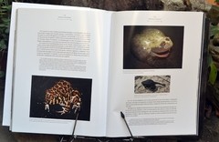 FORMOSA y SALVAJE- Edición de Lujo - La Biblioteca del Naturalista