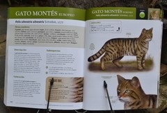 Image of Libro: Felinos del Mundo