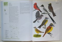 Manual Ilustrado Aves De la Patagonia – KOVACS - tienda online