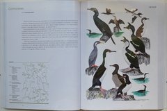Imagen de Manual Ilustrado Aves De la Patagonia – KOVACS