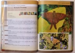 Mariposas Serranas de Argentina Central. Tomo 2 - La Biblioteca del Naturalista
