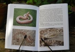 Serpientes del Noroeste Argentino on internet