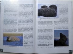 Antártida. Las Leyes entre las Costas y el Mar - online store