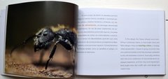 El Mundo de lo Pequeño/ The World of Small - La Biblioteca del Naturalista