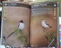 Aves de las Sierras centrales de Argentina - buy online