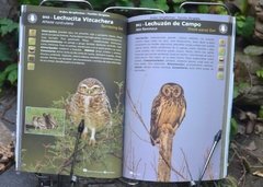 Aves de las Sierras centrales de Argentina - La Biblioteca del Naturalista