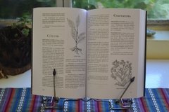 HIERBAS Y PLANTAS CURATIVAS. Plantas shamánicas. 7ta. edición ampliada - buy online