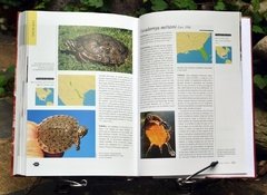 Image of Tortugas del Mundo