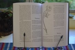 HIERBAS Y PLANTAS CURATIVAS. Plantas shamánicas. 7ta. edición ampliada - La Biblioteca del Naturalista