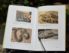 Imagen de Libro: Reptiles del Centro de la Argentina