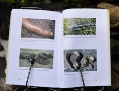 Libro: Reptiles del Centro de la Argentina - La Biblioteca del Naturalista
