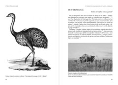 Image of Libro: El Ñandú (Rhea americana)