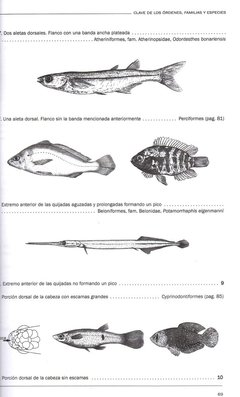 Libro: Peces del Iberá - comprar online