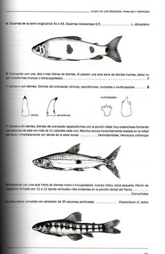 Libro: Peces del Iberá - La Biblioteca del Naturalista