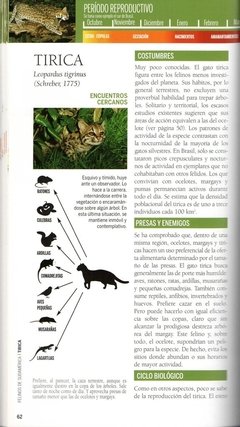 Imagen de Felinos de Sudamérica