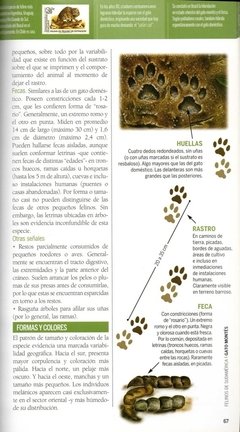 Felinos de Sudamérica - online store