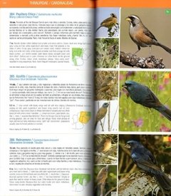 Libro: Aves de las Pampas en internet