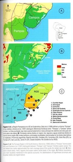 Libro: Aves de las Pampas - La Biblioteca del Naturalista