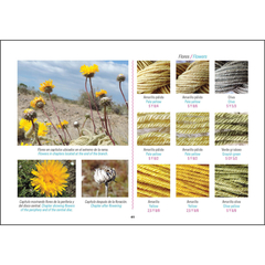 ESCONDITES DE COLORES / HIDEOUTS OF COLOURS - Descubriendo los tintes naturales de las plantas nativas de la estepa patagónica y hierbas urbanas espontáneas. - comprar online