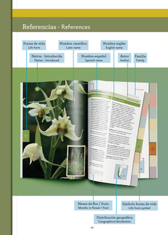 FLORA PATAGONIA - Guía para la Identificación de Plantas y sus hábitats en internet