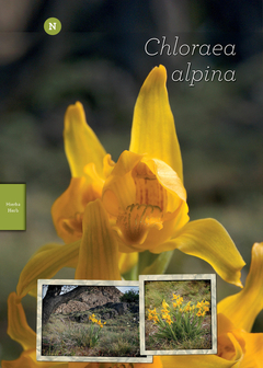 Imagen de FLORA PATAGONIA - Guía para la Identificación de Plantas y sus hábitats