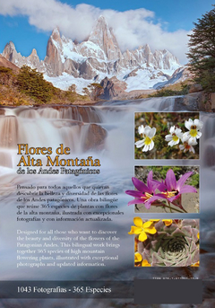 Flores de Alta Montaña de los Andes Patagónicos - buy online