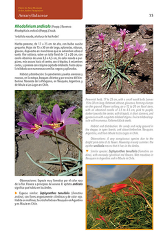 Flores de Alta Montaña de los Andes Patagónicos on internet