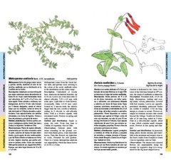 Flores de la estepa patagónica / Flowers of the patagonian steppe - La Biblioteca del Naturalista