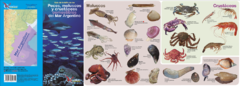 Peces, moluscos y crustáceos comestibles del Mar Argentino- Guía de Bolsillo - buy online