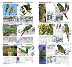 Guia de Aves de Argentina y Uruguay en internet