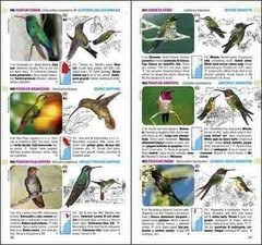 Guia de Aves de Argentina y Uruguay - La Biblioteca del Naturalista
