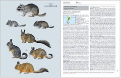 Handbook of the Mammals of the World - Volume 6 - comprar online