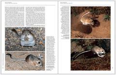 Handbook of the Mammals of the World - Volume 6 - tienda online