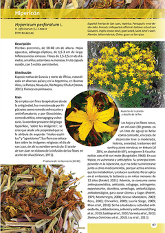 Libro: Plantas de Herboristería - buy online