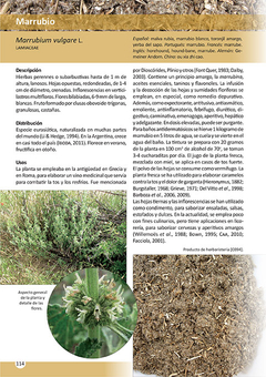 Image of Libro: Plantas de Herboristería