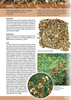 Libro: Plantas de Herboristería - online store