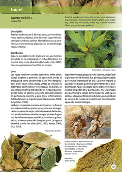 Plantas de Herboristería - La Biblioteca del Naturalista