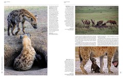 Handbook of the Mammals of the World - Volume 1 Carnivores - La Biblioteca del Naturalista