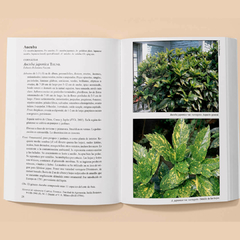 Biota Rioplatense IX : Arbustos 2. Nativos Y Exóticos - La Biblioteca del Naturalista
